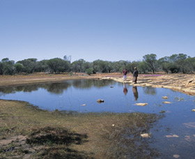 Camel Soak - Accommodation Redcliffe 0