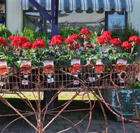 Van Loon's Nursery - Accommodation Redcliffe