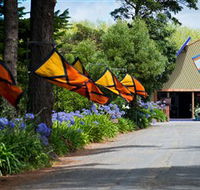 Oakdene Vineyards Restaurant and Cellar Door - Accommodation Redcliffe