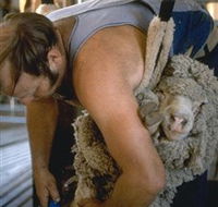 Kuriong Sheep Station - Accommodation Redcliffe