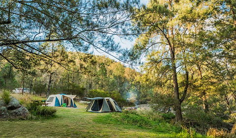 Warrabah National Park - Accommodation Redcliffe 1