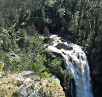 Grove Creek Falls walking track - Accommodation Redcliffe