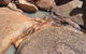 Stonewoman Aboriginal Area - thumb 0