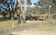 Stonewoman Aboriginal Area - thumb 1