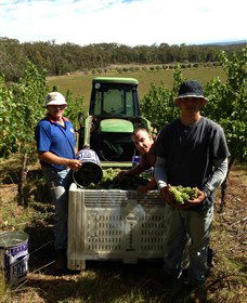 Toppers Mountain Wines - Accommodation Redcliffe 2