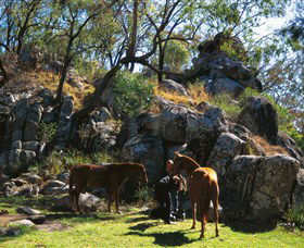 Maidenwell ACT Accommodation Redcliffe
