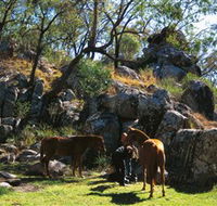 Coomba Falls - Accommodation Redcliffe