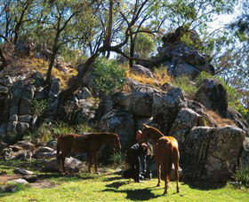 Coomba Falls - Accommodation Redcliffe 0