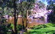 Coomba Falls - thumb 1