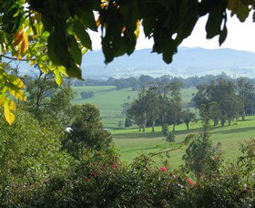 Brandy Creek Wines & View Cafe - Accommodation Redcliffe 5