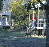 Dryandra Woodland - Accommodation Redcliffe
