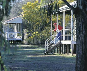 Dryandra Woodland - Accommodation Redcliffe 0