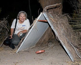 Barna Mia Native Animal Sanctuary - Accommodation Redcliffe 3