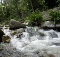 Washpool National Park - Accommodation Redcliffe