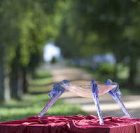 Lillico Glass Studio - Accommodation Redcliffe