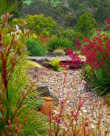 Ungulla Country Garden - Accommodation Redcliffe 1