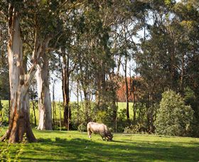 Ungulla Country Garden - Accommodation Redcliffe 8