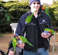 Canberra Walk In Aviary - Accommodation Redcliffe