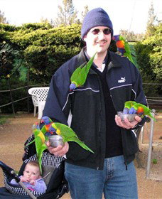 Canberra Walk In Aviary - Accommodation Redcliffe 0
