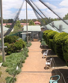 Canberra Walk In Aviary - Accommodation Redcliffe 3