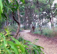 Mount Mutton Walking Trail - Accommodation Redcliffe
