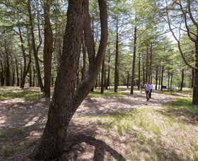 The National Arboretum Canberra - Accommodation Redcliffe 3