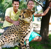 National Zoo  Aquarium - Accommodation Redcliffe
