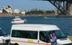 Waratah Adventure Tours - thumb 0