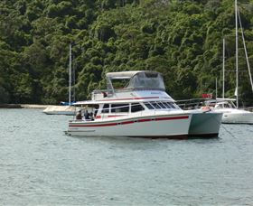 Waratah Adventure Tours - Accommodation Redcliffe 1