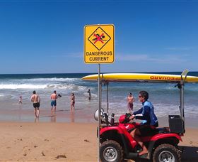 Waratah Adventure Tours - Accommodation Redcliffe 2