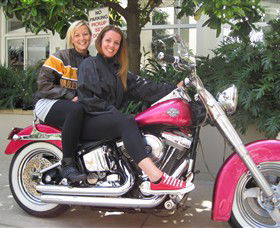 Wild Ride Harley And Motorcycle Tours - Accommodation Redcliffe 0