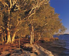 East Coast Adventure Bus - Accommodation Redcliffe 2