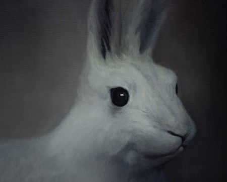 Gallery 9 - Accommodation Redcliffe 2