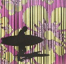 Iain Dawson Gallery - Accommodation Redcliffe 2