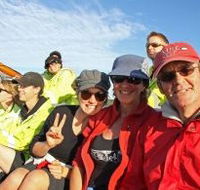 Byron Bay Whale Watching - Accommodation Redcliffe