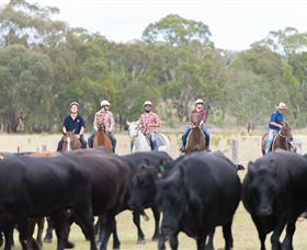 OutBackPackers - Accommodation Redcliffe 2