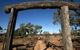 Silver City Tours - thumb 2