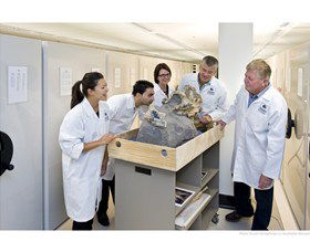 Behind The Scenes Tours At Australian Museum - Accommodation Redcliffe 0