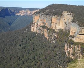 Country Charmâ„¢ Discovery Tours - Accommodation Redcliffe 4