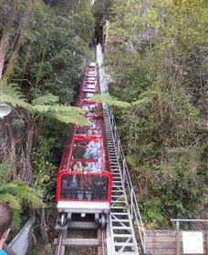 Country Charmâ„¢ Discovery Tours - Accommodation Redcliffe 6
