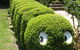 Nutcote - May Gibbs' Home - House Museum - thumb 0