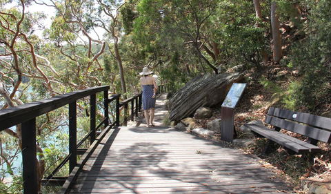 Bradleys Head To Chowder Bay Walk - Accommodation Redcliffe 1