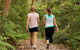 Bradleys Head To Chowder Bay Walk - thumb 0
