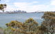 Bradleys Head To Chowder Bay Walk - thumb 3