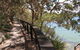 Bradleys Head To Chowder Bay Walk - thumb 2