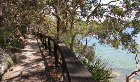 Bradleys Head To Chowder Bay Walk - Accommodation Redcliffe 2