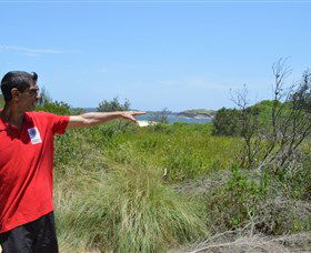 Kadoo Tours - Accommodation Redcliffe 0