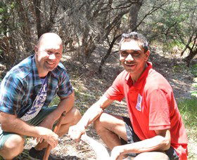 Kadoo Tours - Accommodation Redcliffe 2