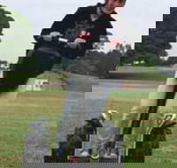 Segway Tours Australia - Accommodation Redcliffe