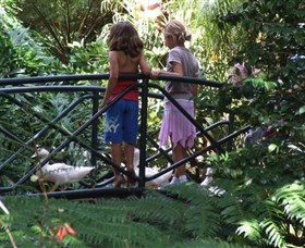 EG Waterhouse National Camellia Garden - Accommodation Redcliffe 0